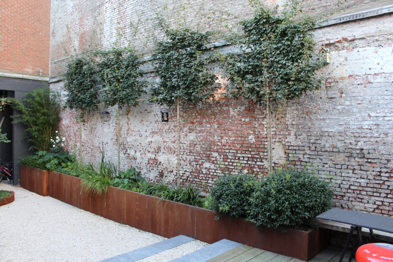 bac acier corten
